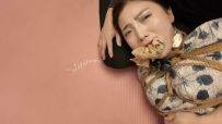 李大侠 绑架空姐之佳佳 下