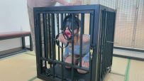 金属捆绑挣扎TJ-上 把女M关进笼子里禁锢 起来 因长期不能移动 崩溃痛哭