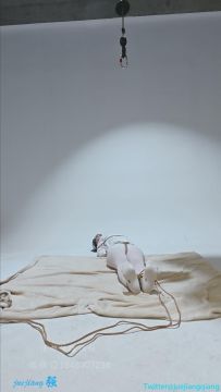 【倔强】小羊倒立吊缚起飞