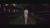 【半岛束艺台】【落叶】YT2665 汪星崛起