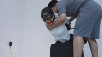 路由 驷马训练器