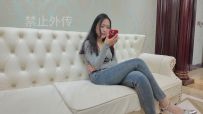 【枫叶工作室】驴驴·与骗子之间的荒唐游戏(上编)