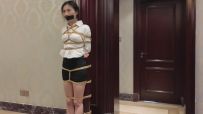 枫叶工作室 独闯龙潭1