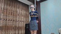枫叶工作室 独闯虎穴 上