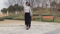 也许清风 高挑气质女白领 户外