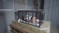 女白领被拐卖囚禁铁笼手铐脚铐限制自由！电击抽打教训吸N器震乳调J丝袜堵嘴！棒棒…