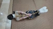 枫叶工作室 不劳而获之绑 上