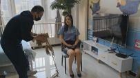【JS】【定制】【哈妮】《母子游戏》美女J官答应和儿子玩J匪游戏，绑上后却出去玩，留