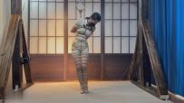 【试炼绳艺】小欣旗袍蛇缚与悬吊电击（首次150档）