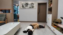 李大侠 入室绑架之十一